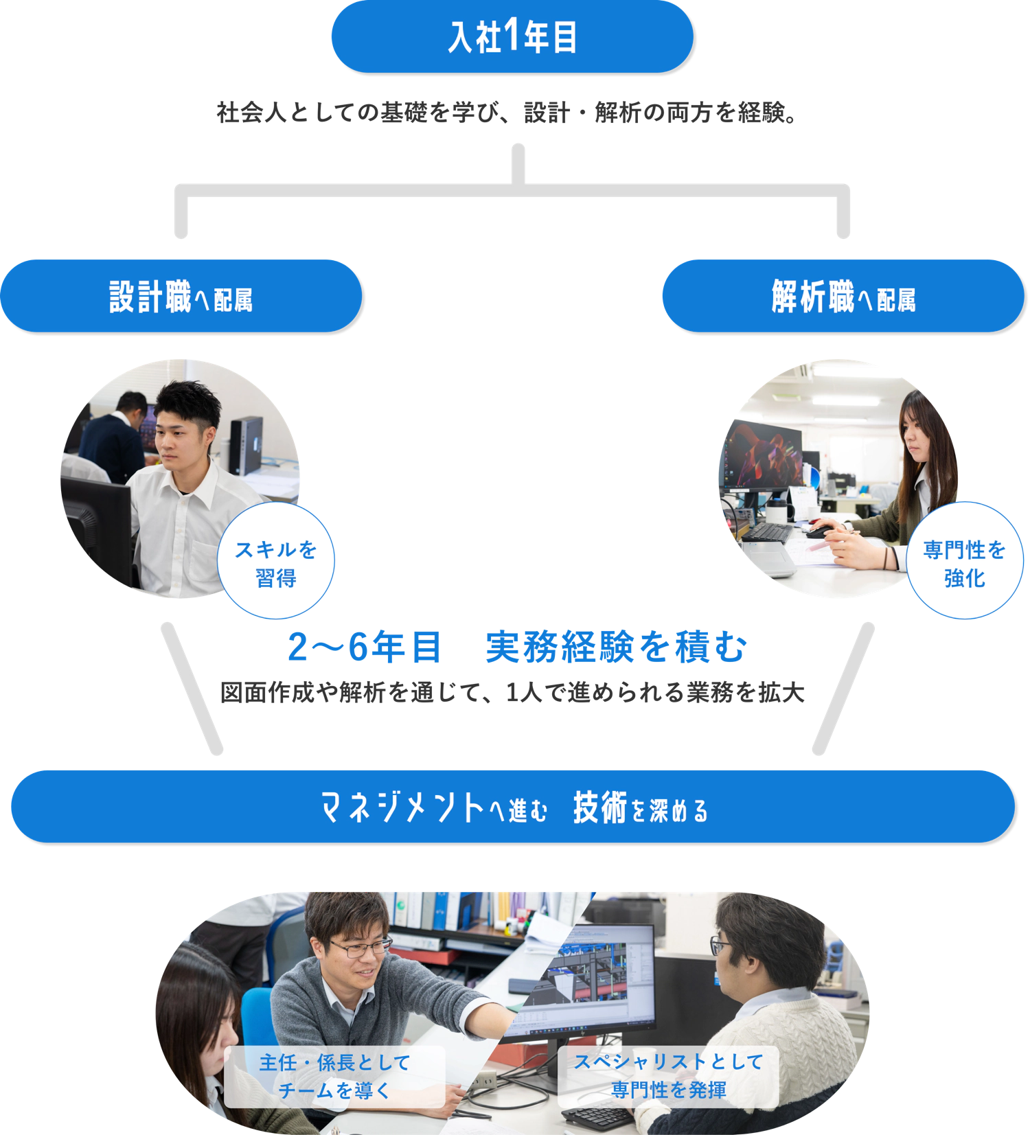 入社1年目 社会人としての基礎を学び、設計・解析の両方を経験。 設計職へ配属 スキルを習得　解析職へ配属　専門性を強化　2〜6年目　実務経験を積む　図面作成や解析を通じて、1人で進められる業務を拡大　マネジメントへ進む　技術を深める　主任・係長としてチームを導く　スペシャリストとして専門性を発揮