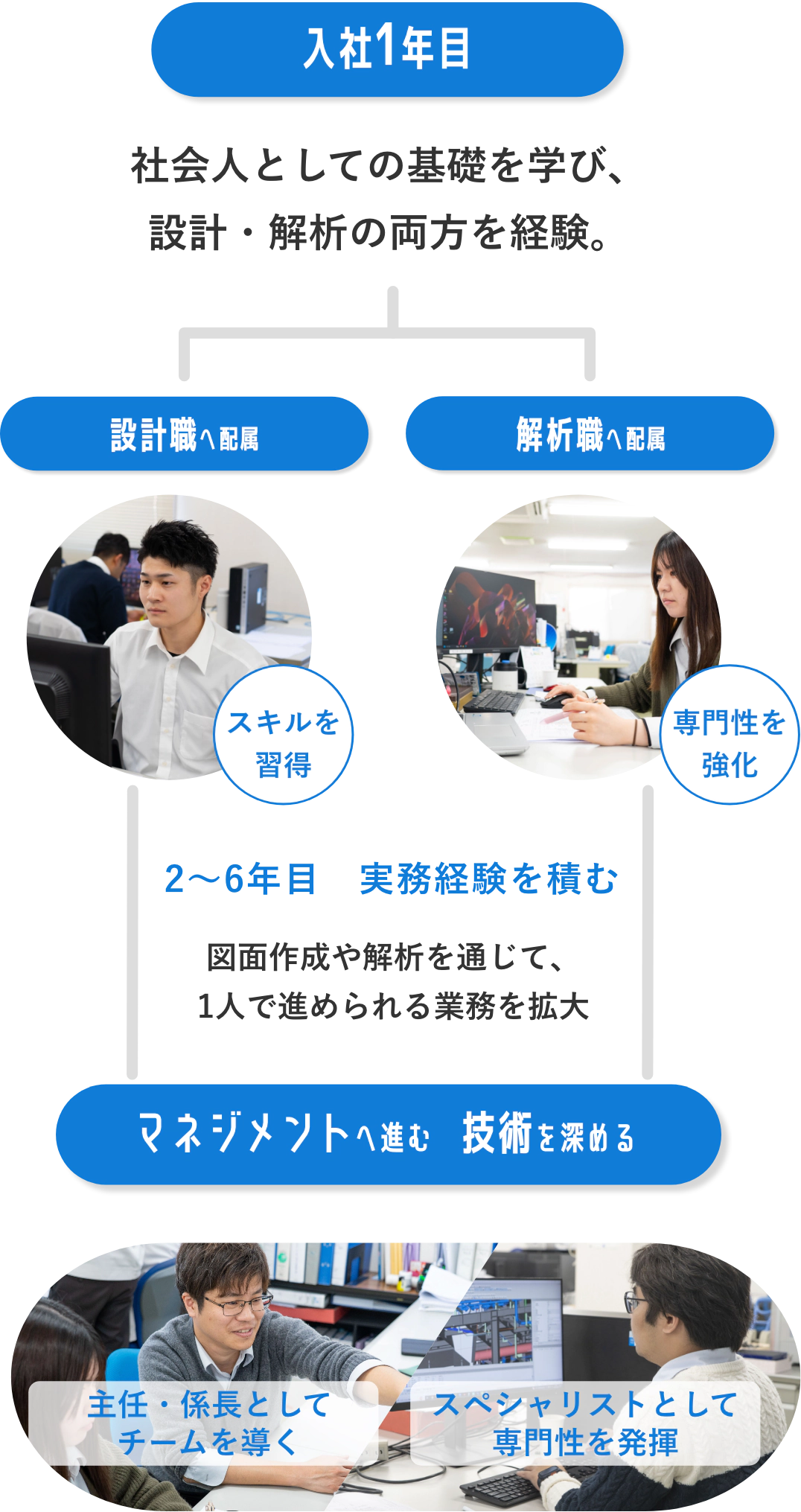 入社1年目 社会人としての基礎を学び、設計・解析の両方を経験。 設計職へ配属 スキルを習得　解析職へ配属　専門性を強化　2〜6年目　実務経験を積む　図面作成や解析を通じて、1人で進められる業務を拡大　マネジメントへ進む　技術を深める　主任・係長としてチームを導く　スペシャリストとして専門性を発揮
